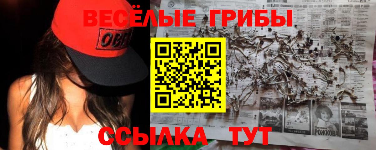 Сосновоборск  Галлюциногенные грибы мицелий  Псилоцибиновые грибы Psilocybine cubensis  Вход с VPN 